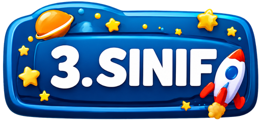 3. Sınıf