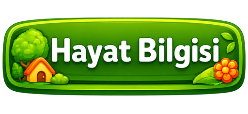 Hayat Bilgisi