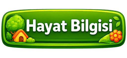 Hayat Bilgisi