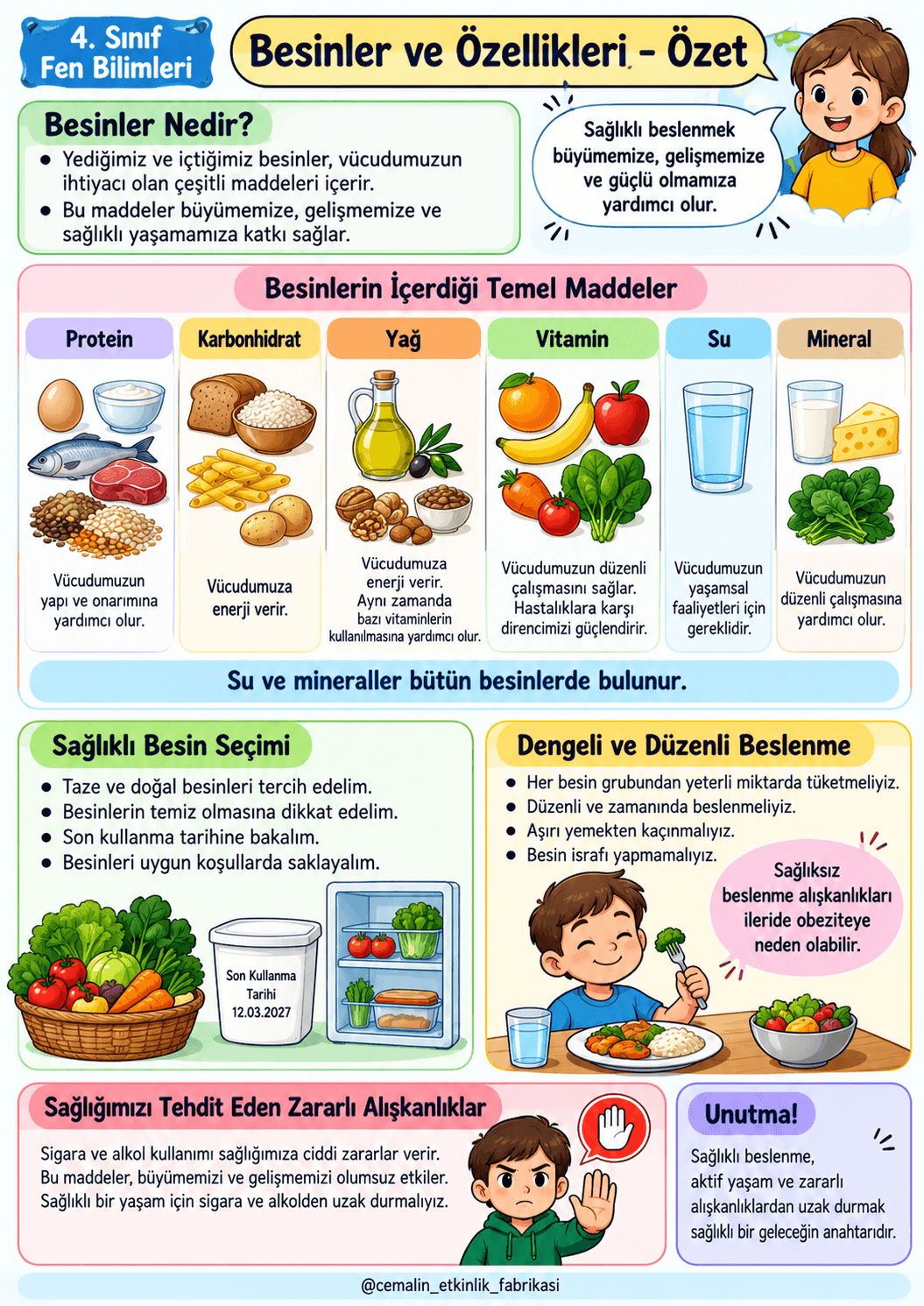 4. Sınıf Fen Bilimleri Besinler ve Özellikleri – Konu Özeti