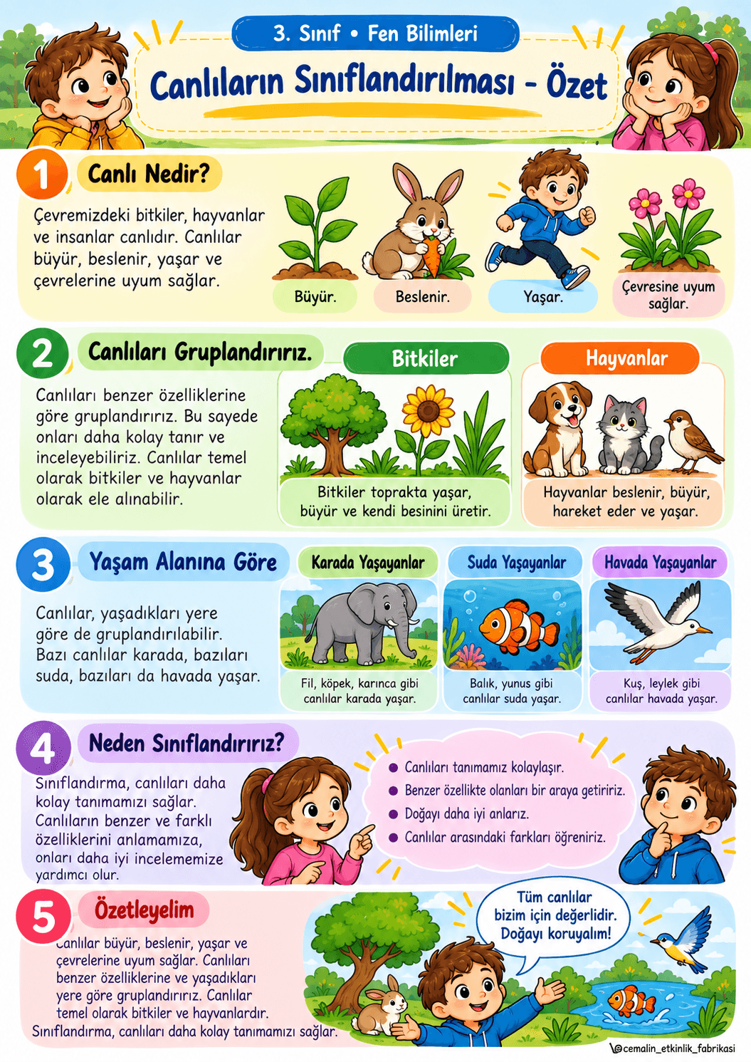 3. Sınıf Fen Bilimleri Canlıların Sınıflandırılması – Konu Özeti