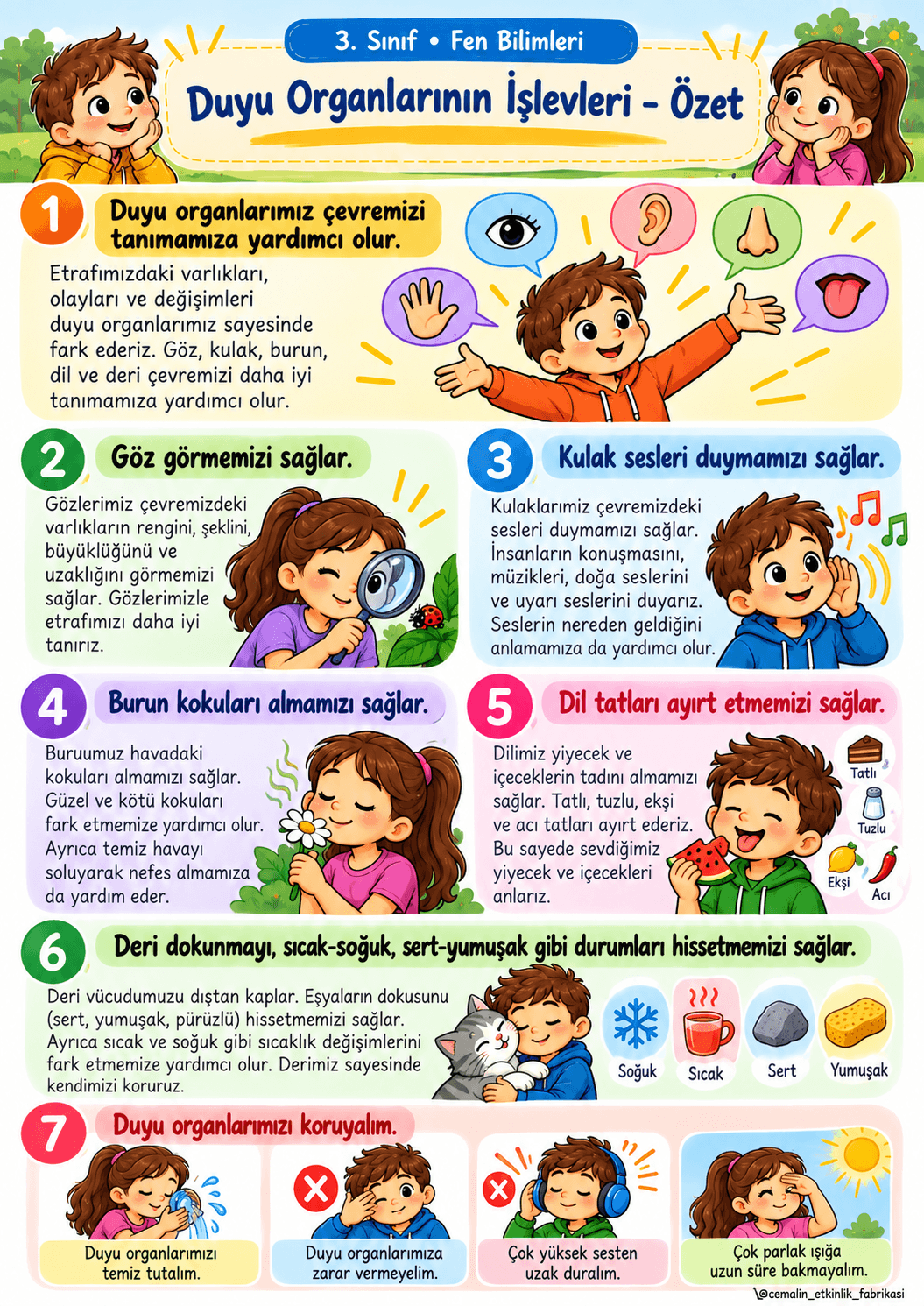 3. Sınıf Fen Bilimleri Duyu Organlarının İşlevleri – Konu Özeti