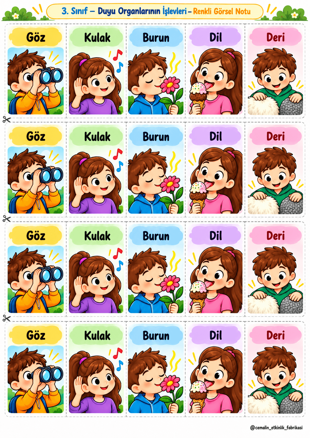 Duyu Organlarının İşlevleri Renkli Görsel