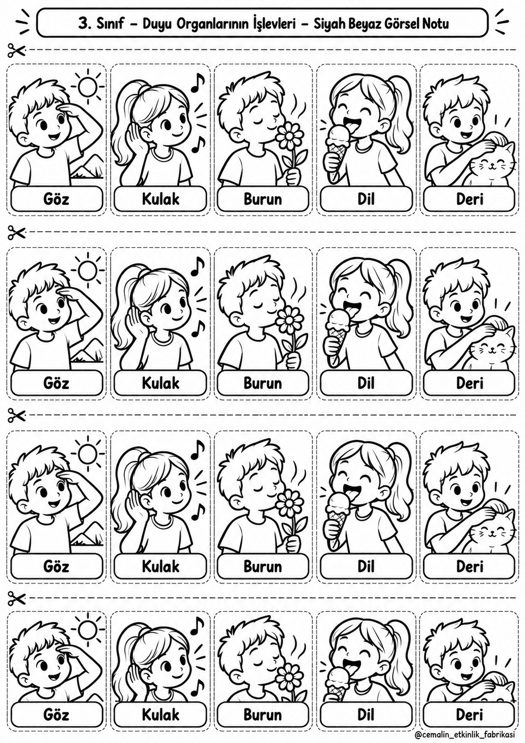Duyu Organlarının İşlevleri Siyah-Beyaz Görsel