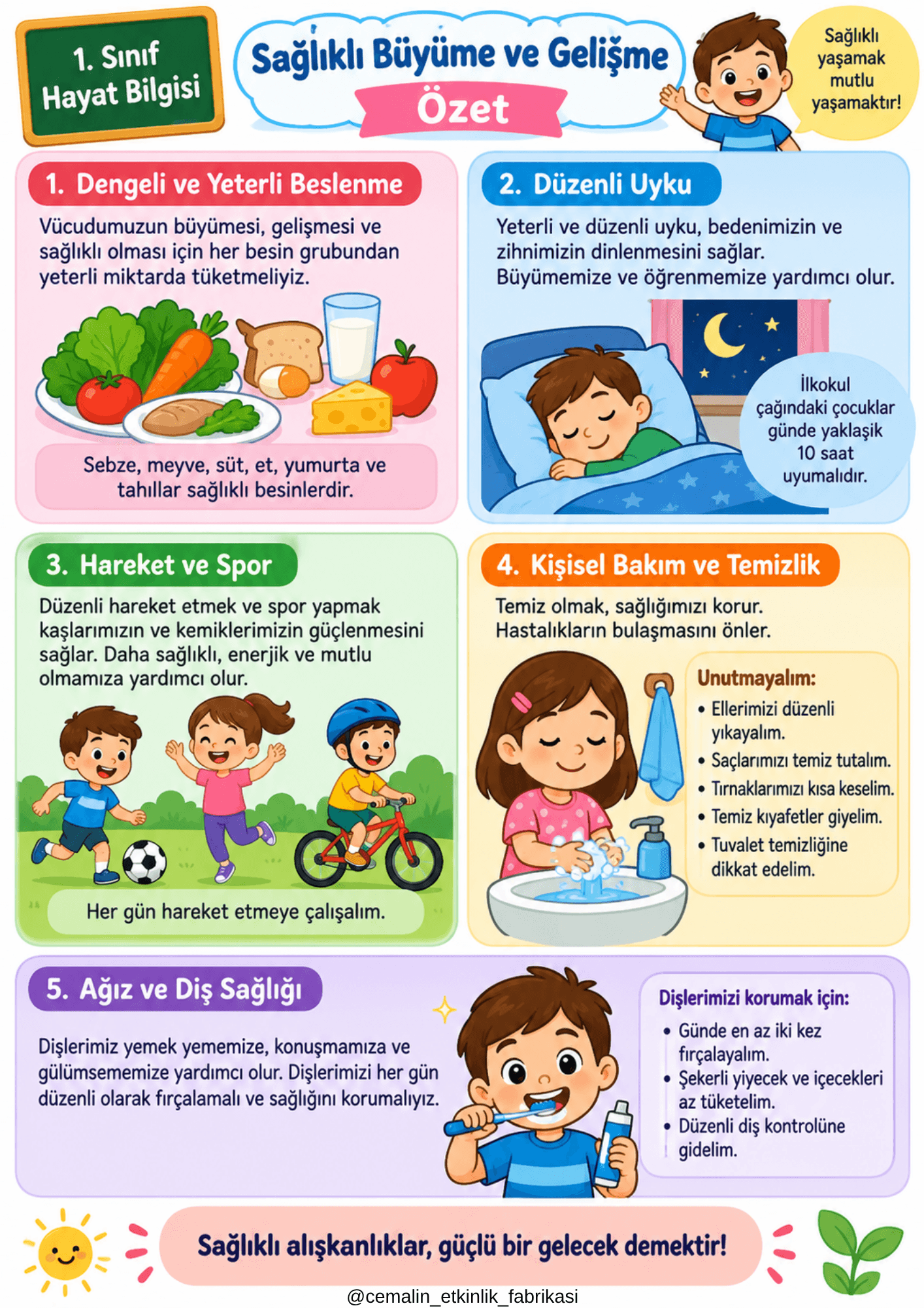 1. Sınıf Hayat Bilgisi – Sağlıklı Büyüme Ve Gelişme | 7. Hafta
