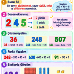 Sayıları Çözümleme Konu Özeti